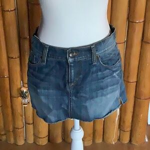 Joes Jeans Distressed Skirt
